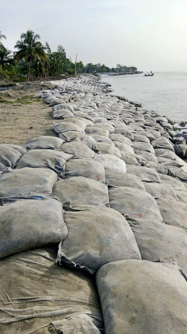 Geobag revetment lining a sandy riverbank with palm trees and a small boat on the Meghna River