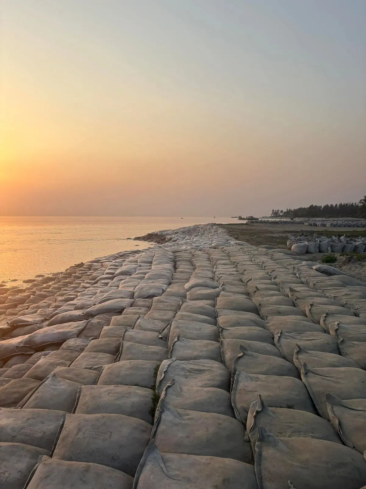 Long geobag revetment along the Meghna River bank at sunset with stockpiled bags and trees behind